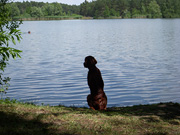 See mit Hundestrand